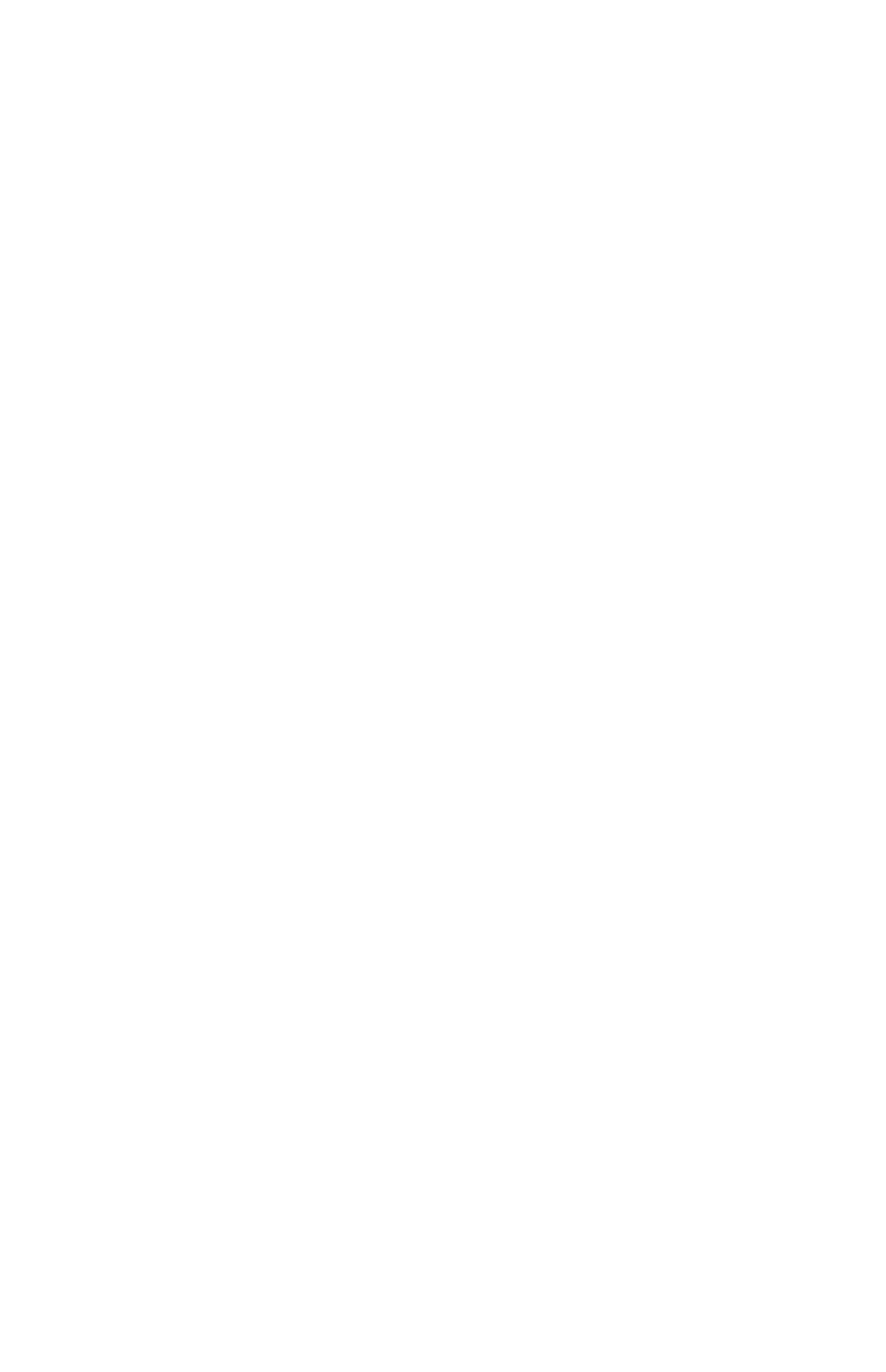 NoxVzn White Logo